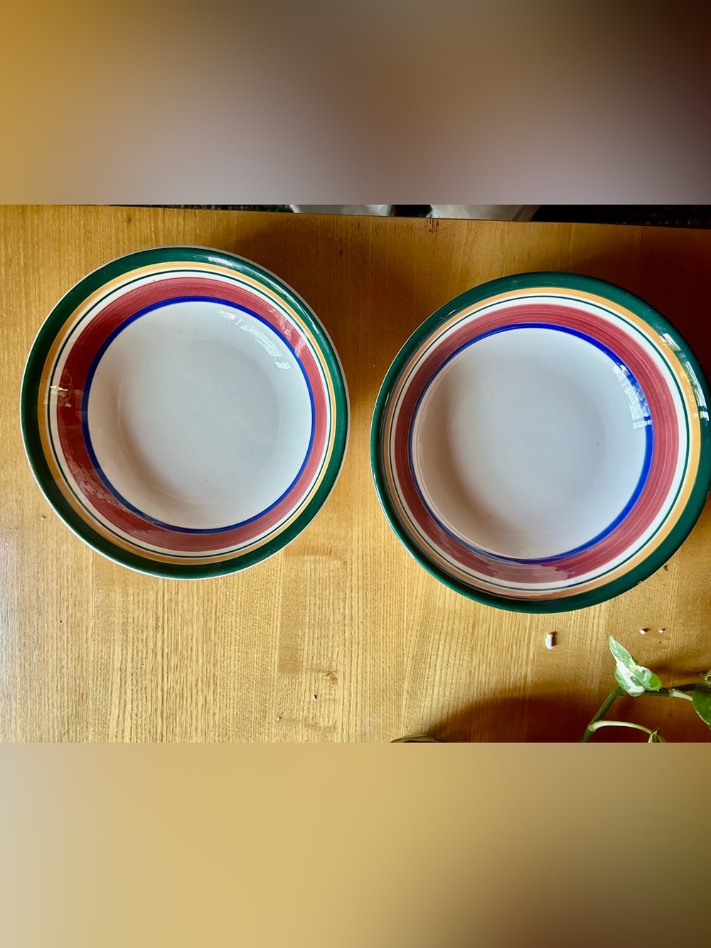 Italian Striped Ceramic Dinner Bowls in Green, Red, Yellow & Blue - Set of 2
